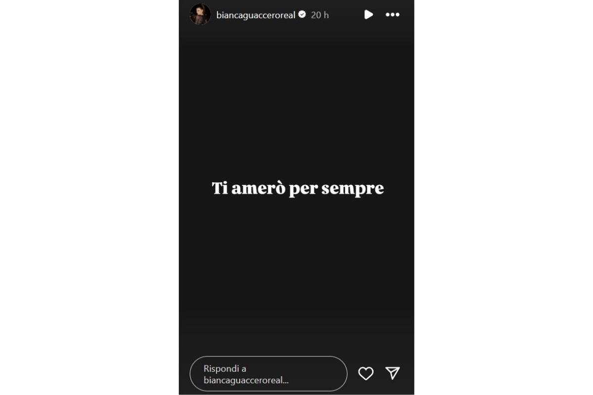 storia instagram di bianca guaccero